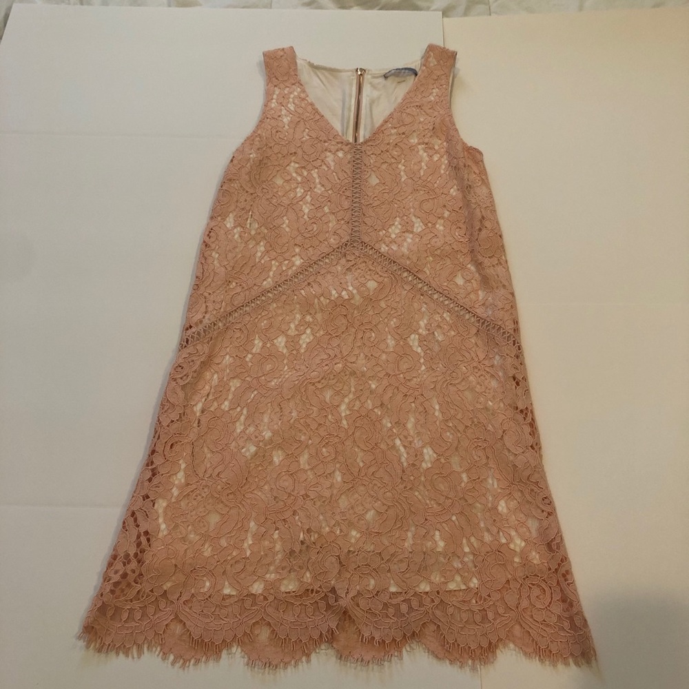 Tart Lace Dress